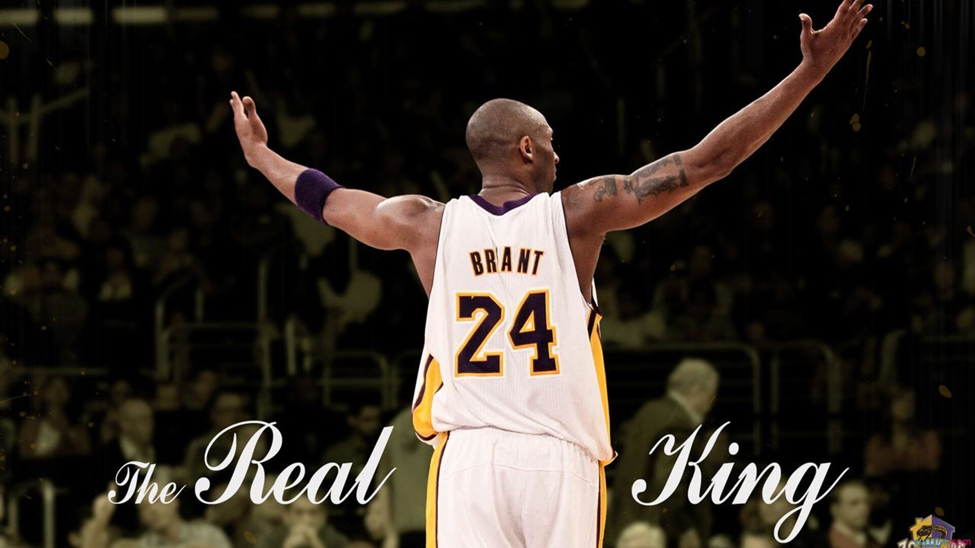 Rookie破茧成蝶！连续12场得分王，掘金新星挑战NBA纪录之夜